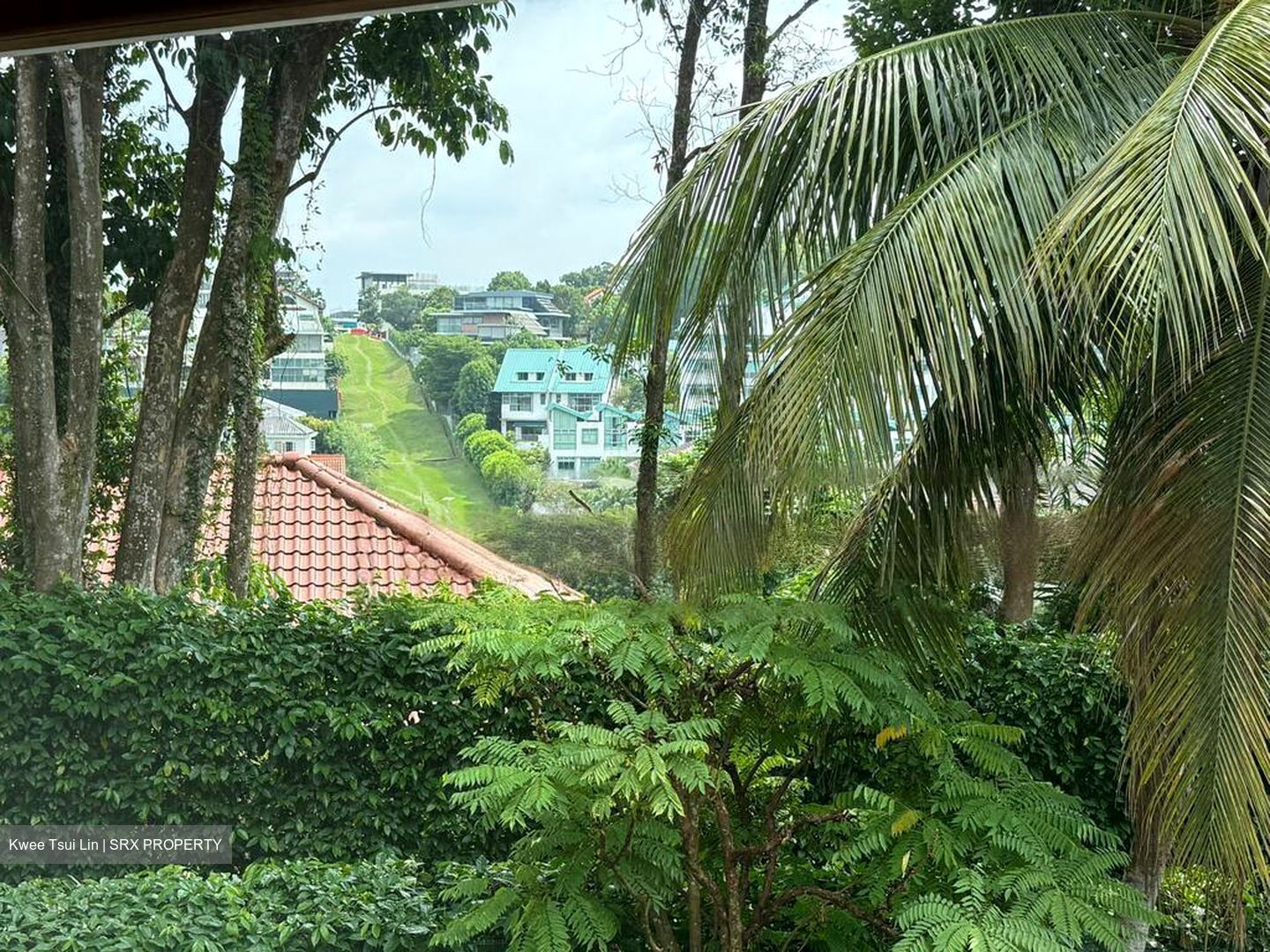 Duchess Avenue (D10), Detached #470761131